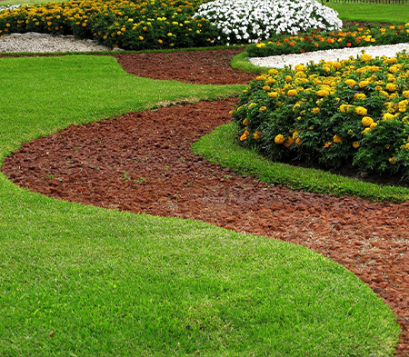 A garden with green grass and yellow flowers.