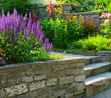 A garden with steps and flowers in the background.